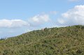 Cruise 2011 085
